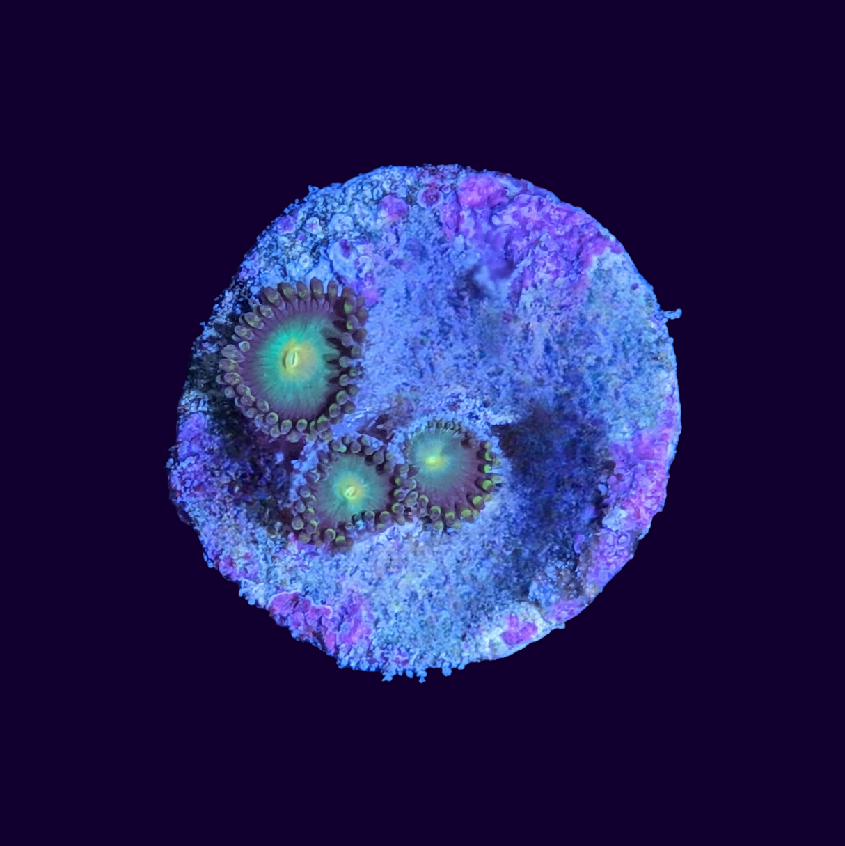 John Deere Zoa Frag