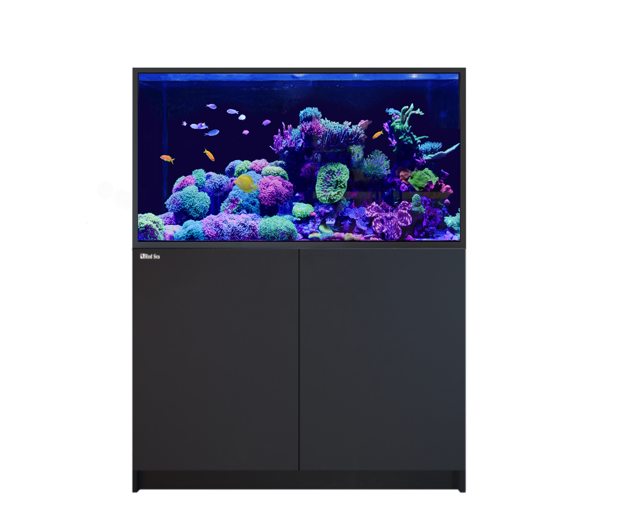 Red Sea Reefer-S 550 G2+ Black