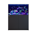 Red Sea Reefer-S 550 G2+ Black