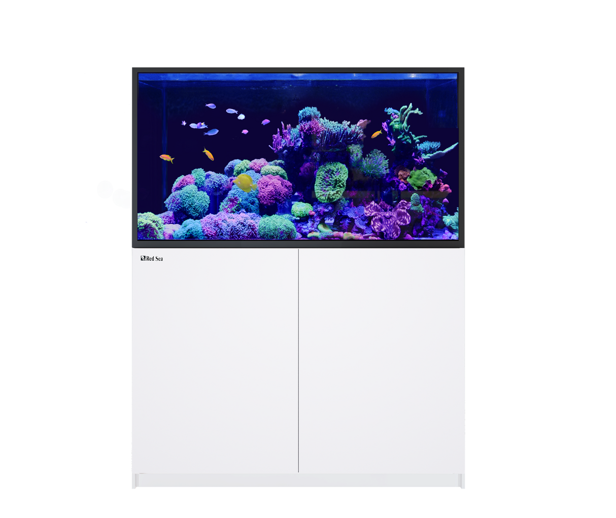 Red Sea Reefer-S 550 G2+ White