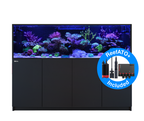 Red Sea Reefer MAX S-1000 G2+ - Black