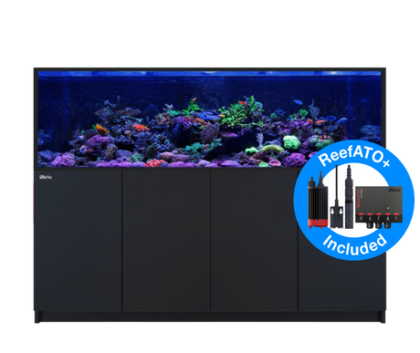 Red Sea Reefer MAX S-850 G2+ - Black