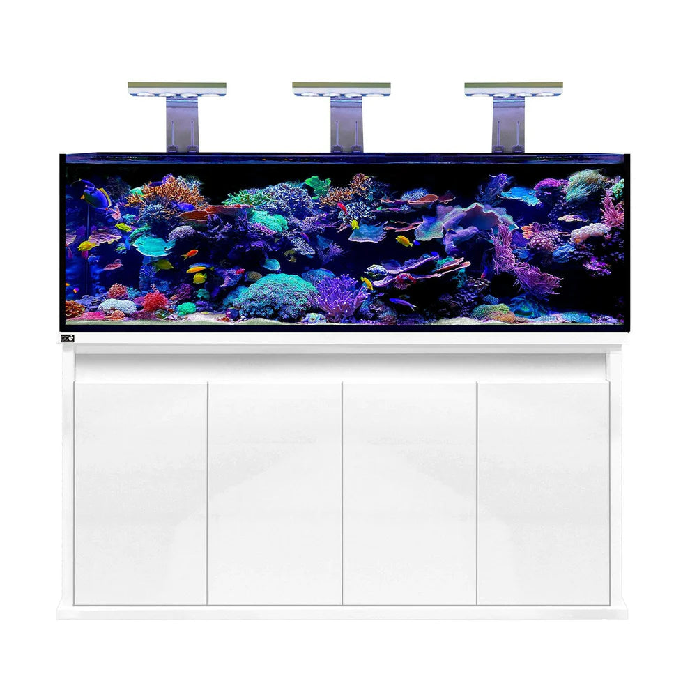 D-D Reef-Pro Aquarium 1800