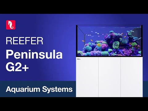 Red Sea Reefer Peninsula S 950 G3 Black