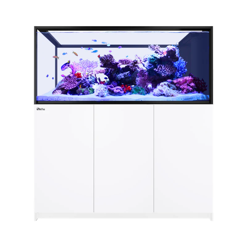 Red Sea Reefer MAX Peninsula S-700 G3 White