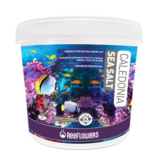 Reeflowers Caledonia Sea Salt - 22.5kg Bucket (Collection Only)