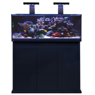 D-D Reef-Pro Aquarium 1200