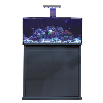 D-D Reef-Pro 900