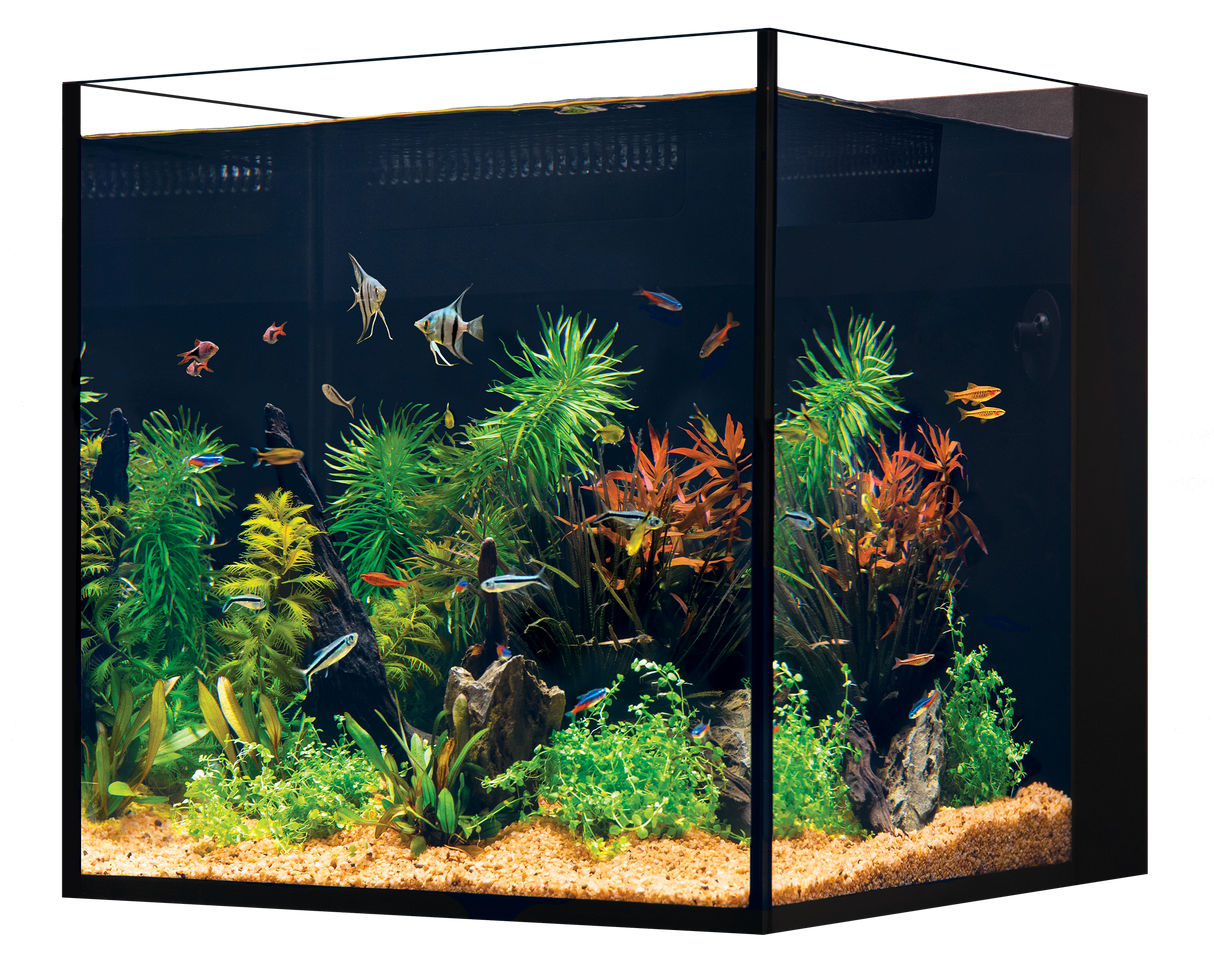 Red Sea Desktop NANO Cube Aquarium