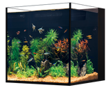 Red Sea Desktop NANO Cube Aquarium