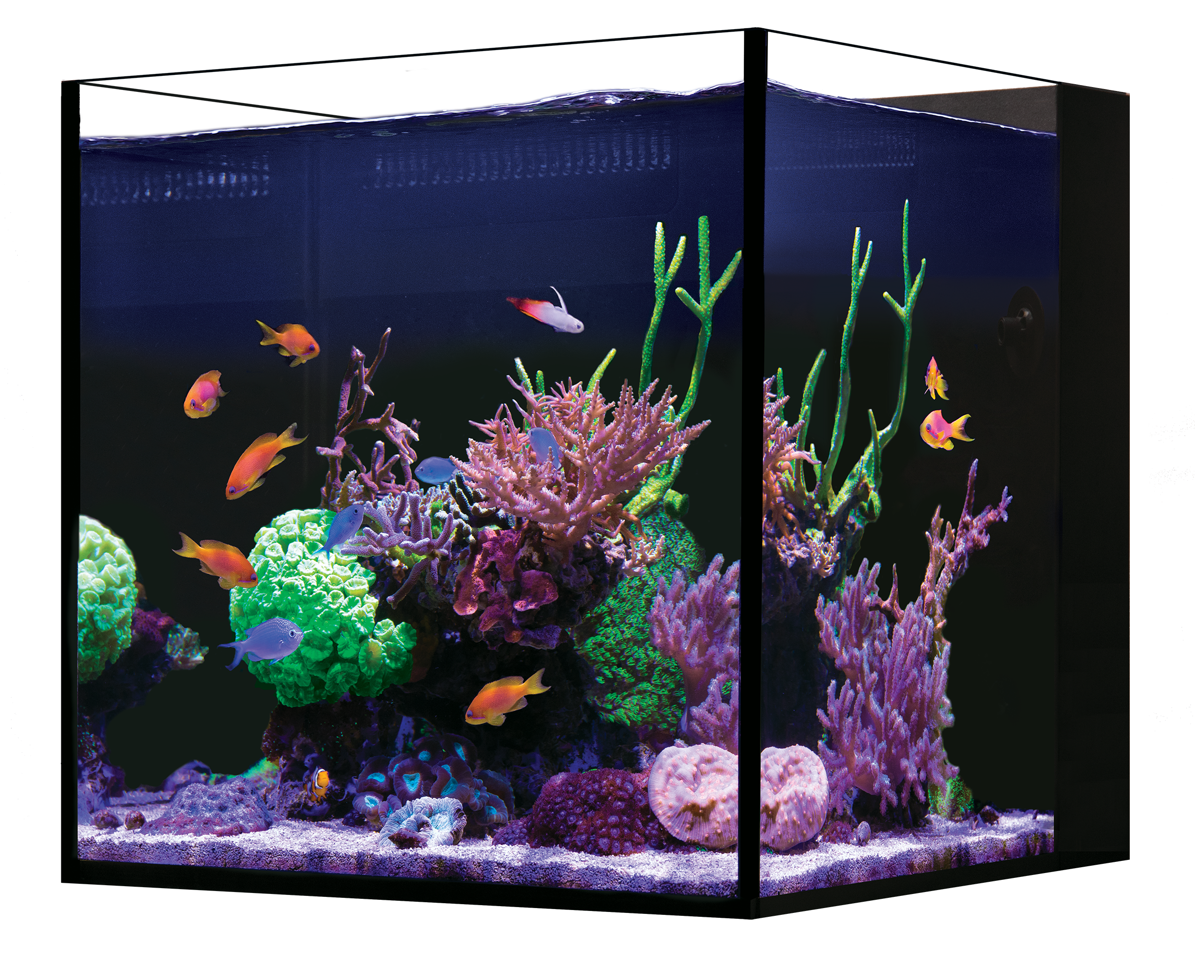 Red Sea Desktop NANO Cube Aquarium