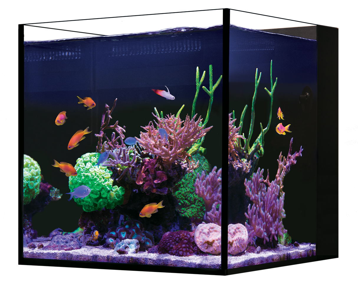 Red Sea Desktop NANO Cube Aquarium