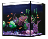 Red Sea Desktop NANO Cube Aquarium