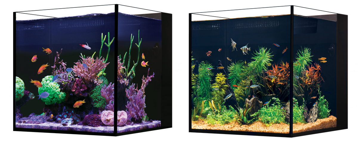 Red Sea Desktop NANO Cube Aquarium