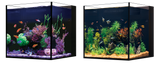 Red Sea Desktop NANO Cube Aquarium