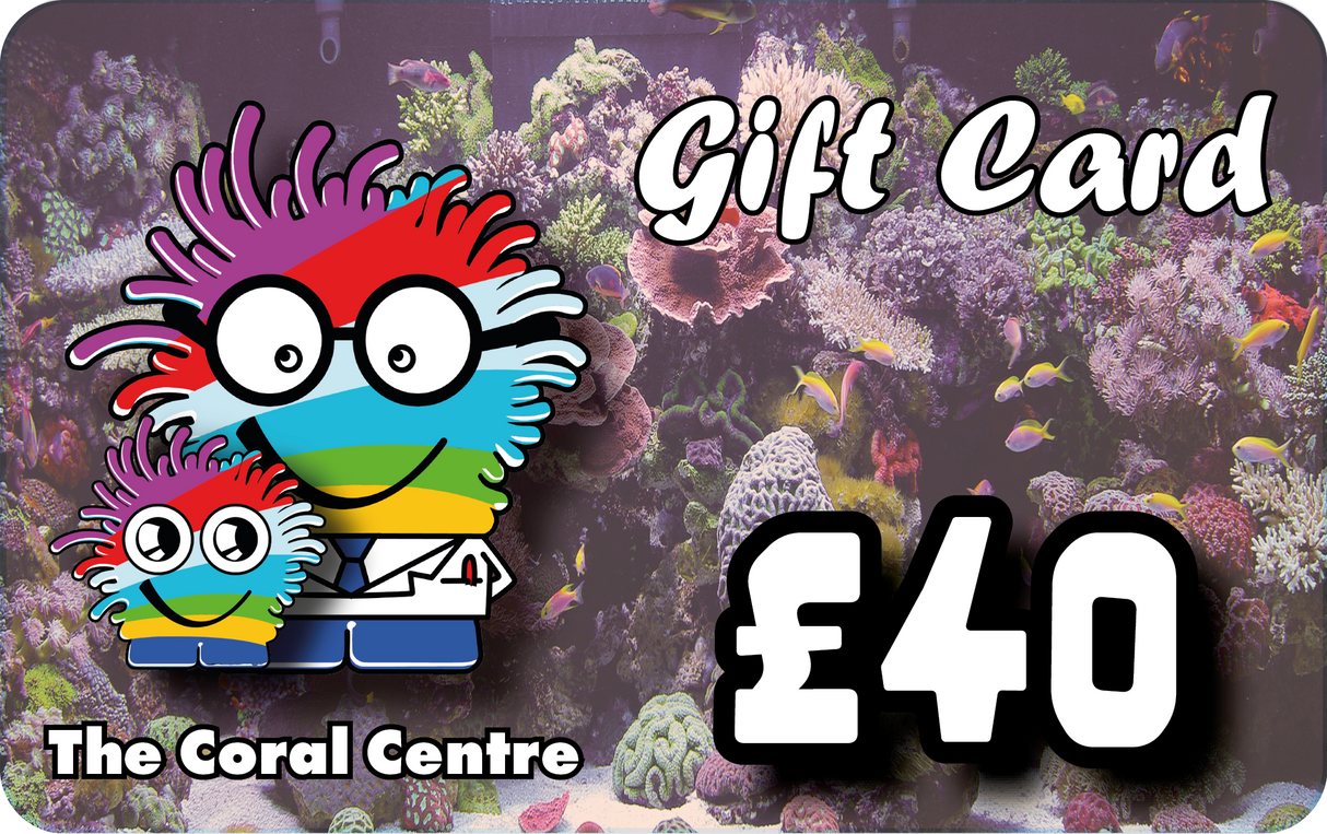 £40 Gift Voucher