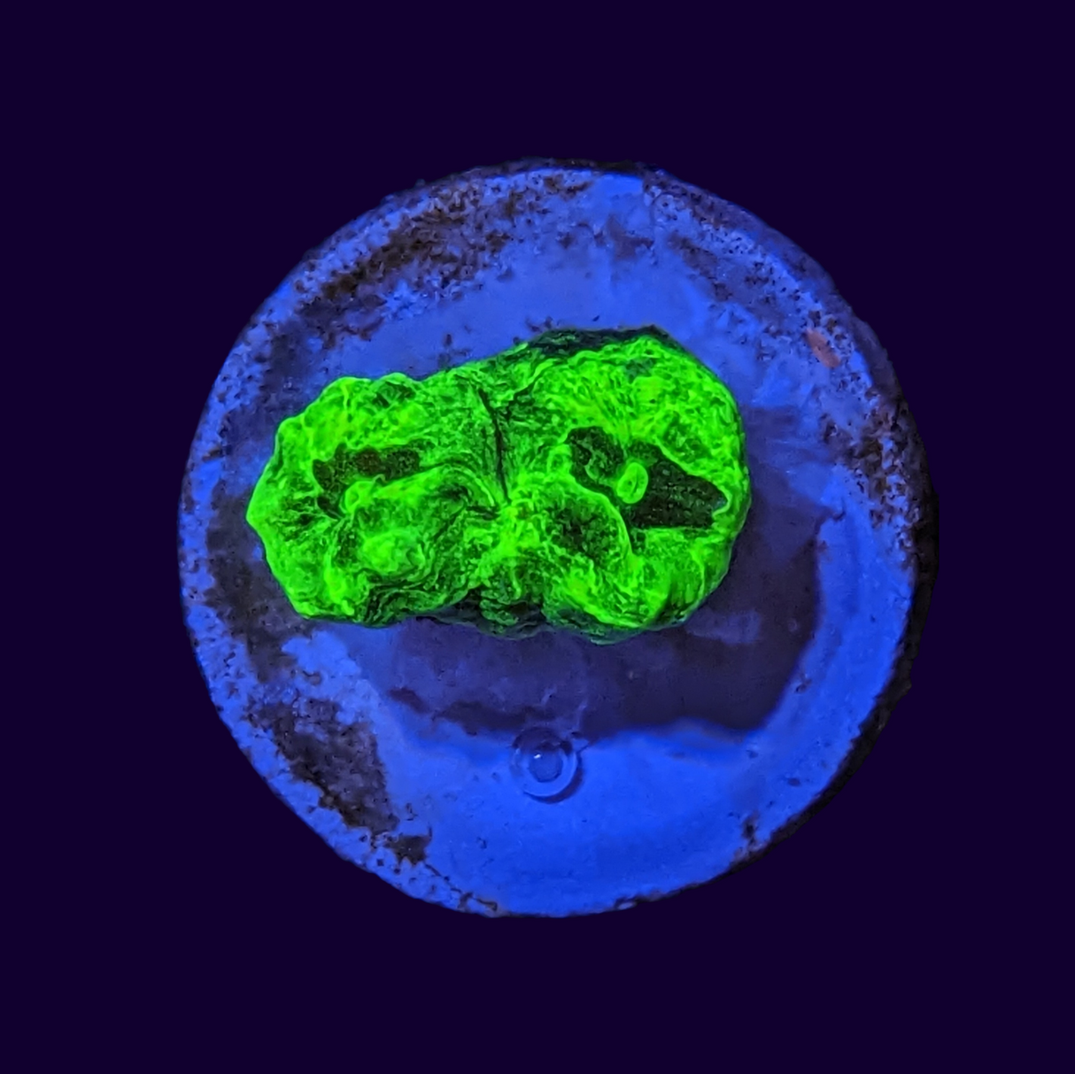 Neon Green Candy Cane