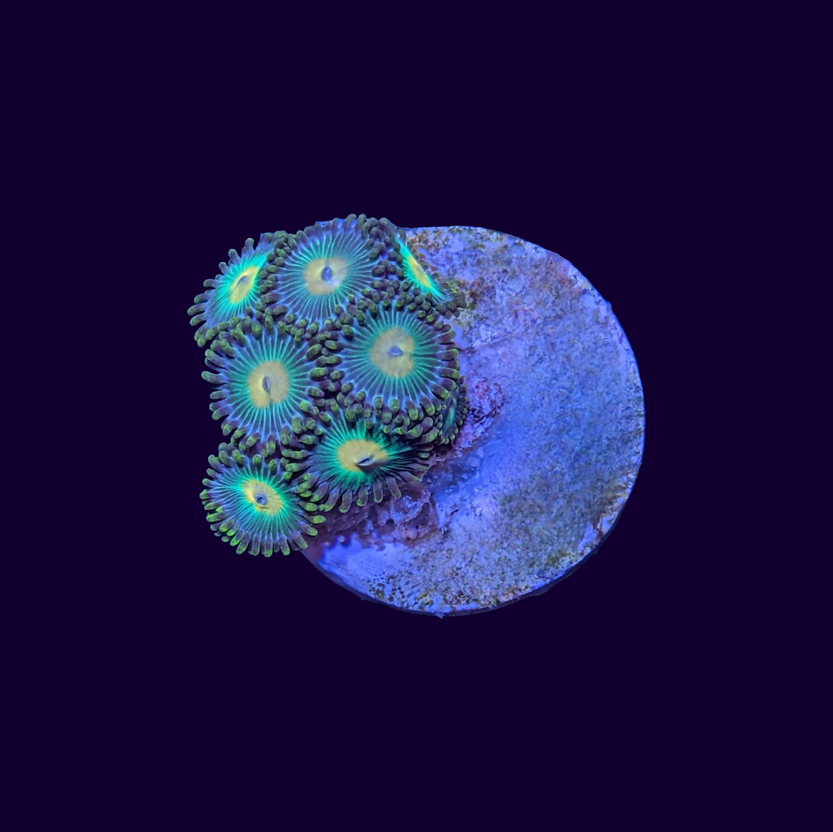 John Deere Zoa Frag