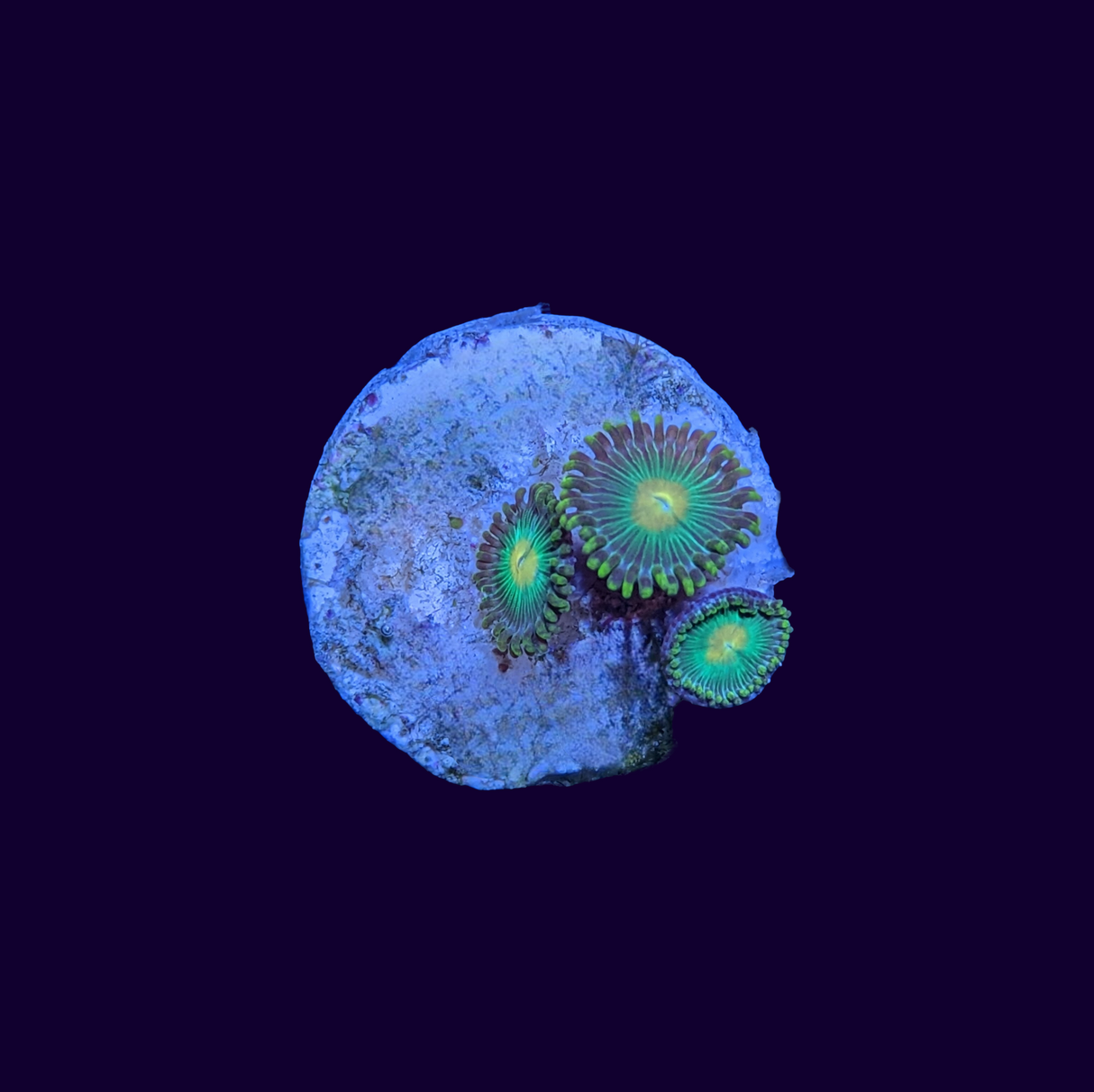 John Deere Zoa Frag