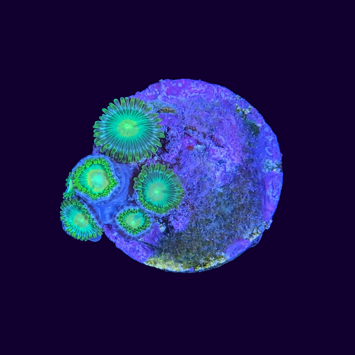 John Deere Zoa Frag