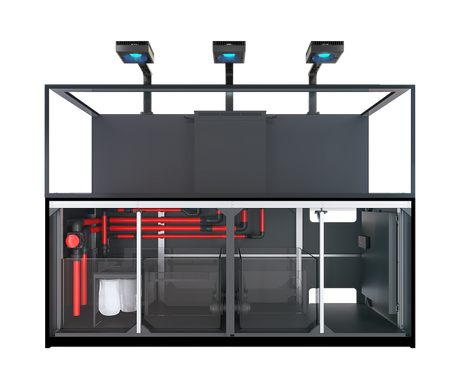 Red Sea Reefer G2+ S-1000 Deluxe Aquarium - Black (3 x ReefLED G2 170)
