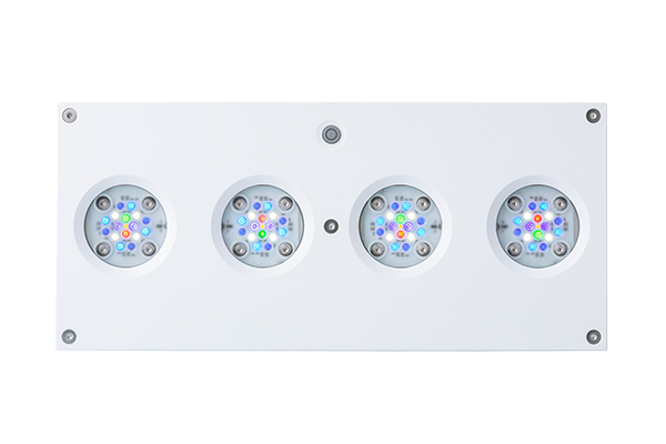 D-D AI Hydra 64HD LED Lighting - White