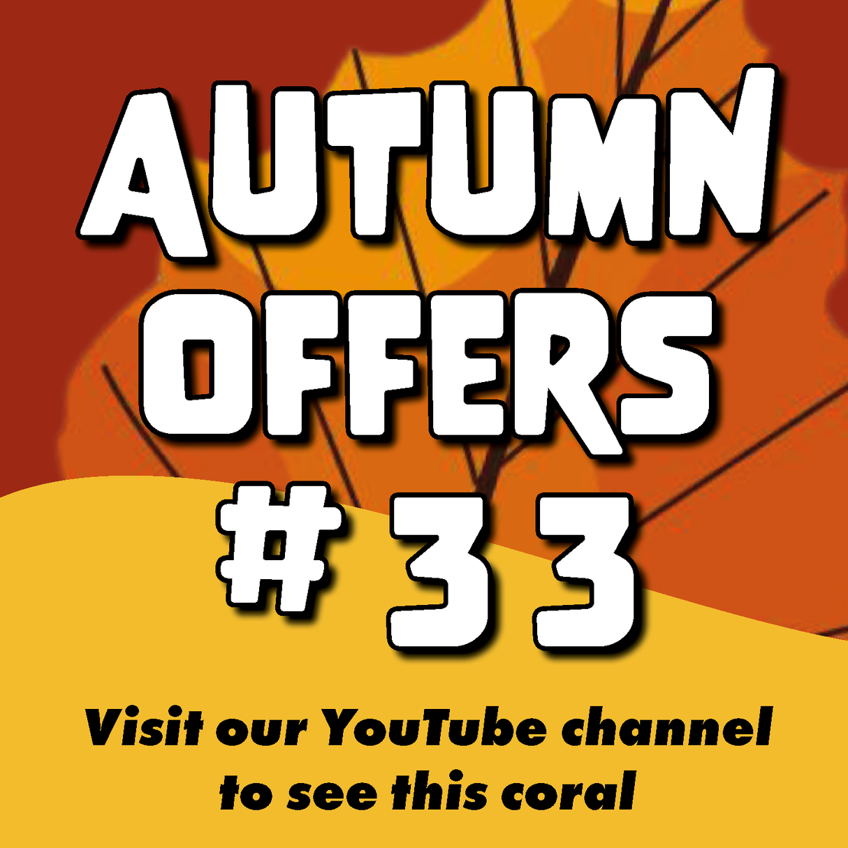 #33 Autumn Offers Acan